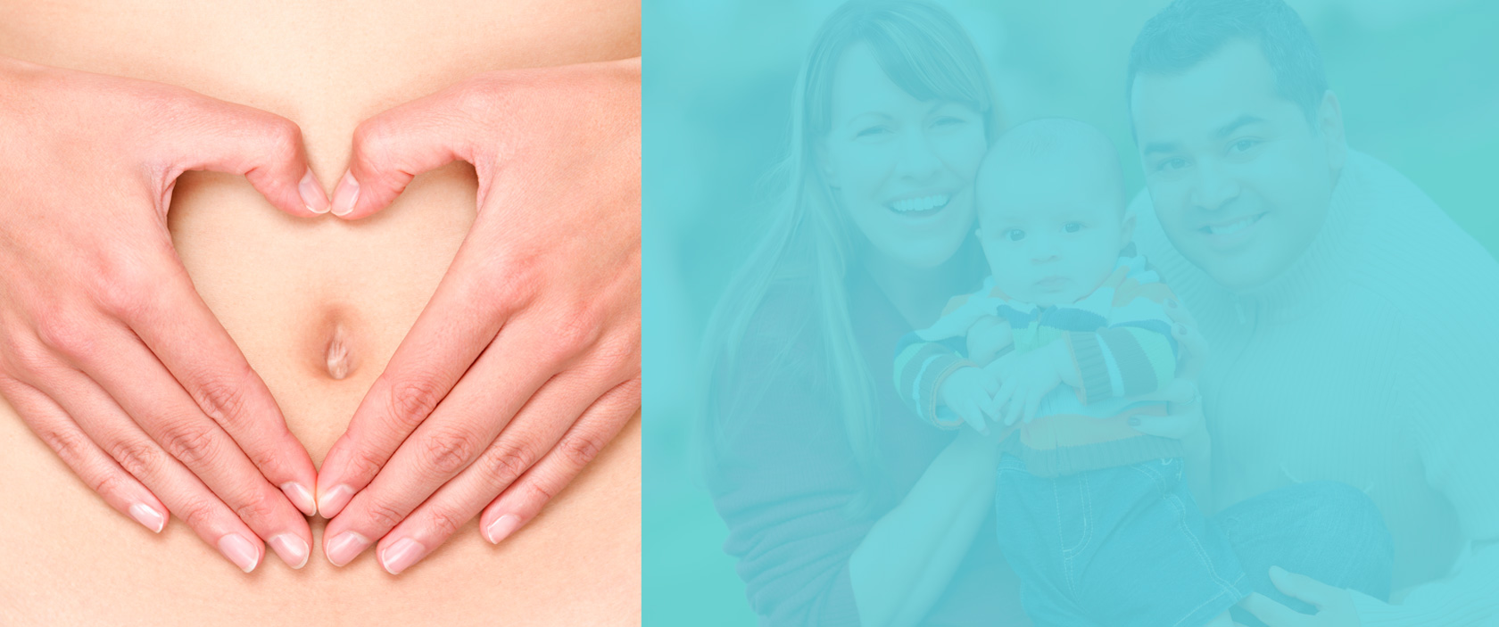 lo_fertility_banner_03